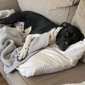 Meet your Posher, Jaime